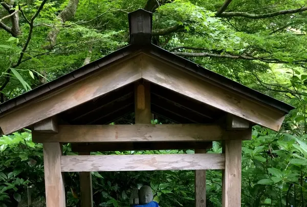 明月院（あじさい寺）の写真・動画_image_344830