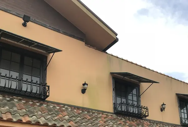 ピッツェリアｔａｔｓｕｎｏｋｏの写真・動画_image_344855