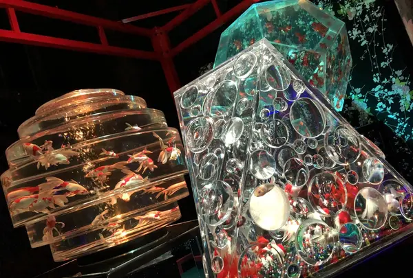 博多駅の写真・動画_image_344874