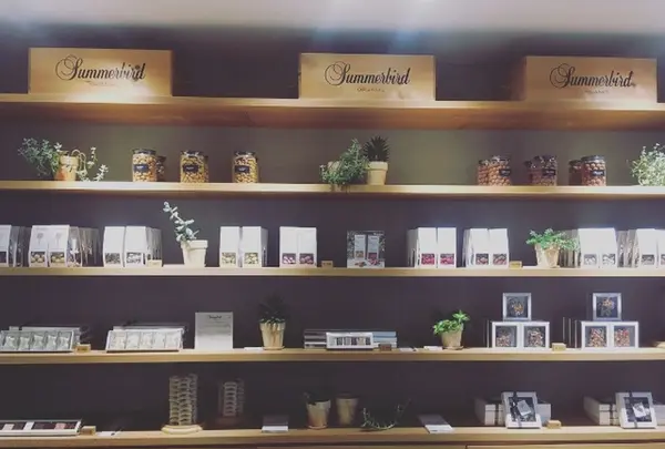 SUMMERBIRD ORGANICの写真・動画_image_344961