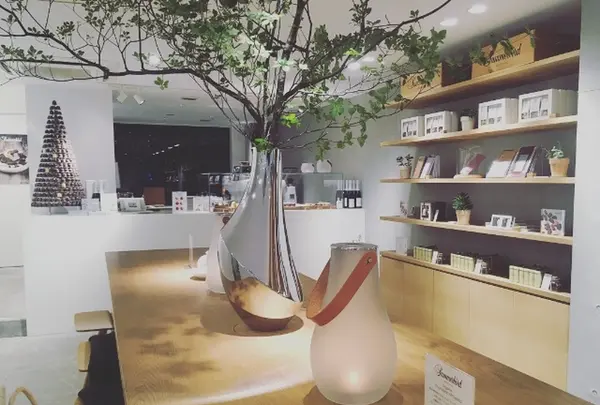 SUMMERBIRD ORGANICの写真・動画_image_344964