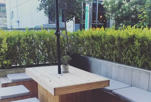 SUMMERBIRD ORGANICの写真・動画_image_344966