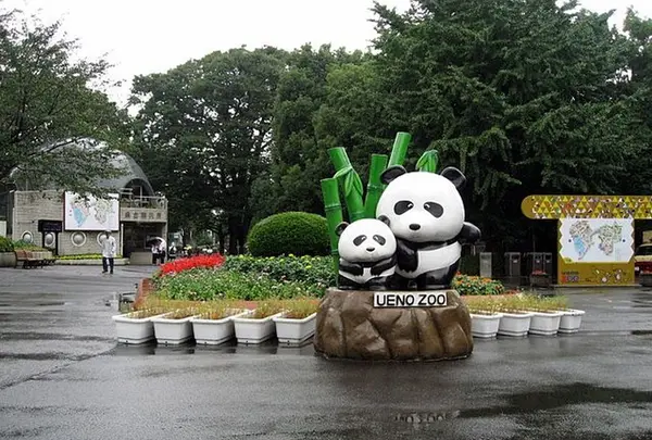 ここも外せない！上野動物園