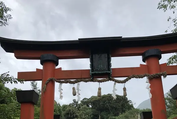 慈尊院の写真・動画_image_345268