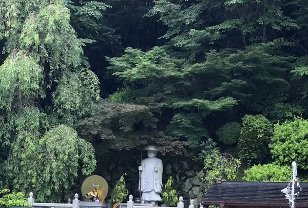 慈尊院の写真・動画_image_345270
