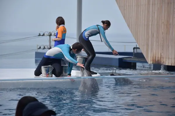 上越市立水族博物館 うみがたり（旧：上越市立水族博物館）の写真・動画_image_345535