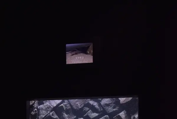 上越市立水族博物館 うみがたり（旧：上越市立水族博物館）の写真・動画_image_345536