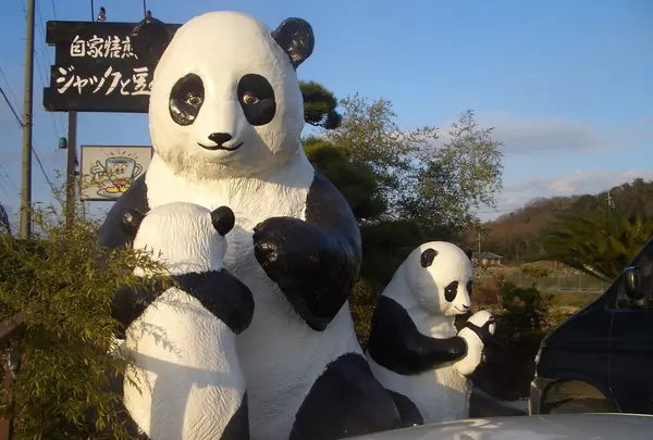 ジャックと豆の樹の写真・動画_image_345619