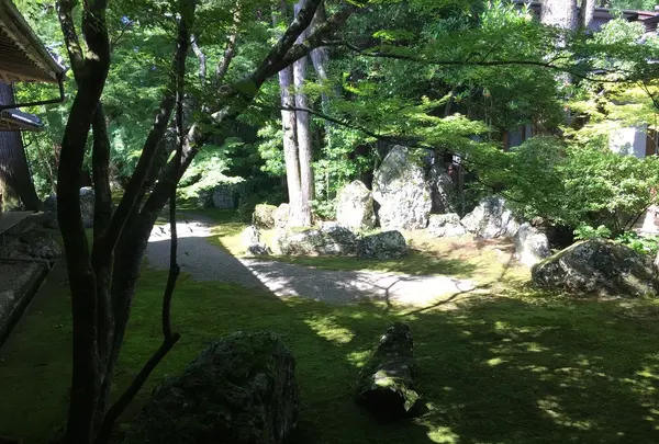 多賀大社の写真・動画_image_345712