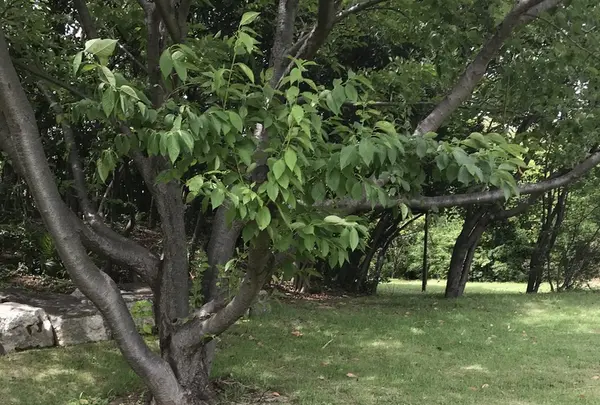 都立潮風公園の写真・動画_image_345811