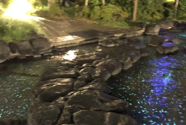 大江戸温泉物語 浦安万華郷の写真・動画_image_346075