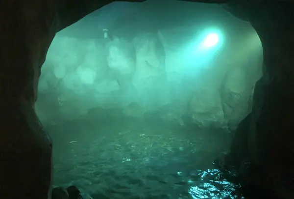大江戸温泉物語 浦安万華郷の写真・動画_image_346081