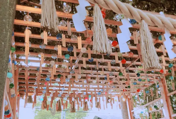 川越氷川神社の写真・動画_image_346374