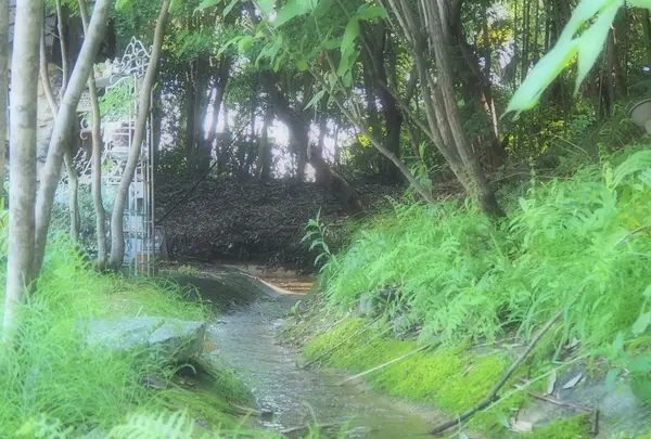 ぬくもりの森の写真・動画_image_347072