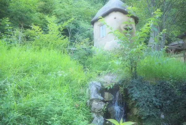 ぬくもりの森の写真・動画_image_347076