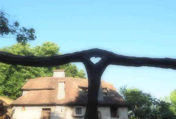 ぬくもりの森の写真・動画_image_347077