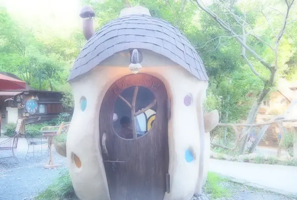 ぬくもりの森の写真・動画_image_347079