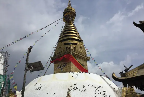 Himalayan Activities Pvt. Ltd. Trekking & Travelの写真・動画_image_347416