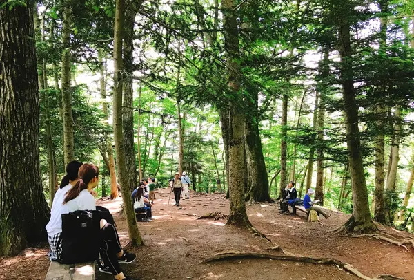 高尾山の写真・動画_image_347788