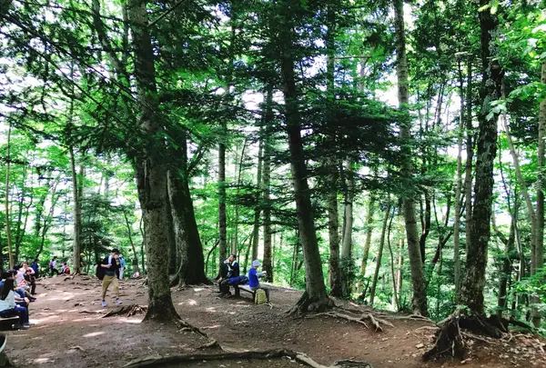 高尾山の写真・動画_image_347792