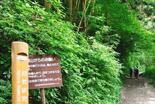 高尾山の写真・動画_image_347793