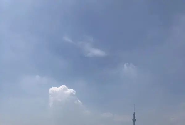 荒川河川敷四つ木橋球技場の写真・動画_image_348015