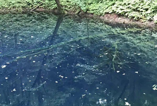 黄金崎不老ふ死温泉の写真・動画_image_348342
