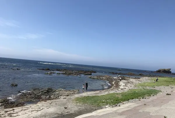 黄金崎不老ふ死温泉の写真・動画_image_348344