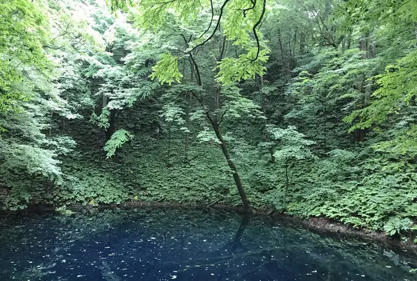 黄金崎不老ふ死温泉の写真・動画_image_348345