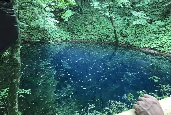 黄金崎不老ふ死温泉の写真・動画_image_348346