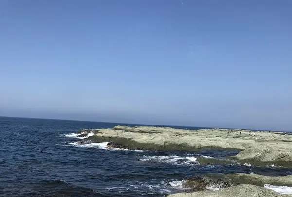 黄金崎不老ふ死温泉の写真・動画_image_348348