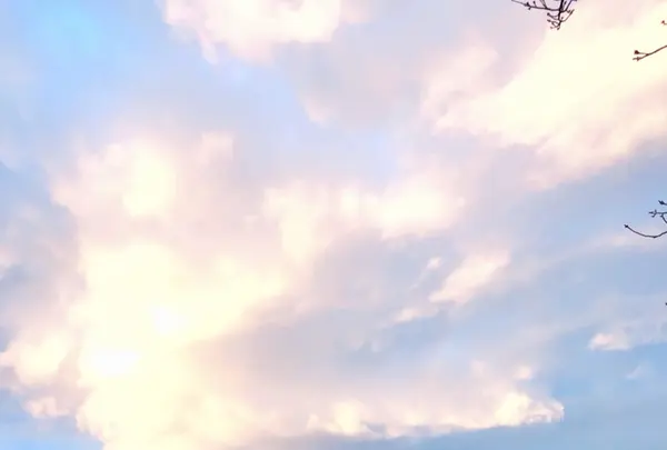 天橋立の写真・動画_image_348395