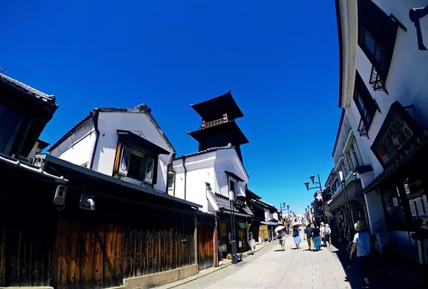 川越氷川神社 本殿の写真・動画_image_348492