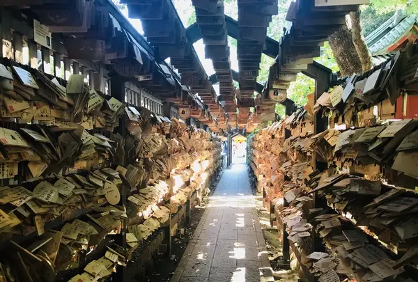 川越氷川神社 本殿の写真・動画_image_348493