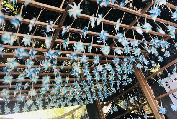 川越氷川神社 本殿の写真・動画_image_348494