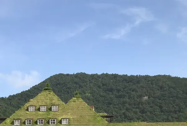 ラコリーナ近江八幡の写真・動画_image_348885