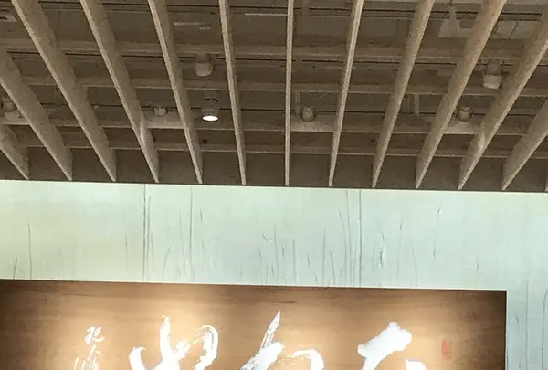 ラコリーナ近江八幡の写真・動画_image_348888