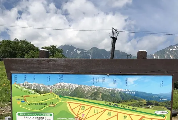 白馬五竜高山植物園の写真・動画_image_348993