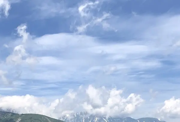 白馬五竜高山植物園の写真・動画_image_348998