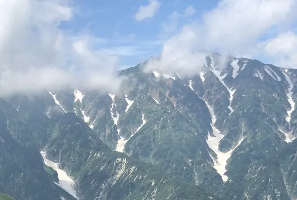 白馬五竜高山植物園の写真・動画_image_349001