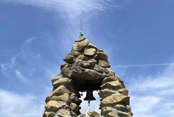 白馬五竜高山植物園の写真・動画_image_349002