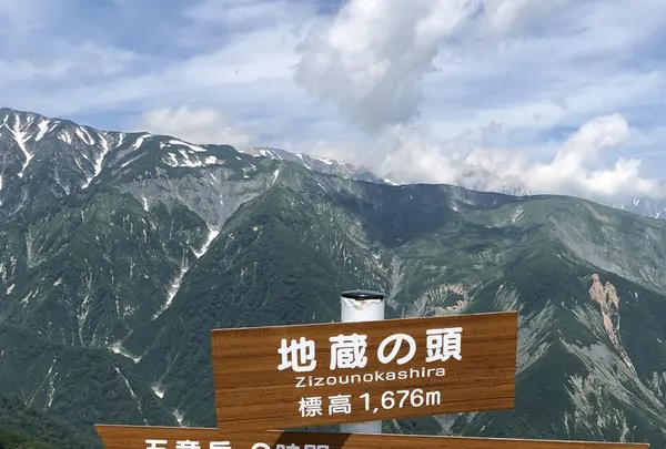 白馬五竜高山植物園の写真・動画_image_349006