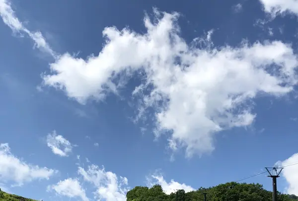 白馬五竜高山植物園の写真・動画_image_349008