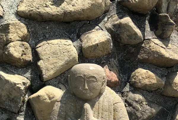 白馬五竜高山植物園の写真・動画_image_349014