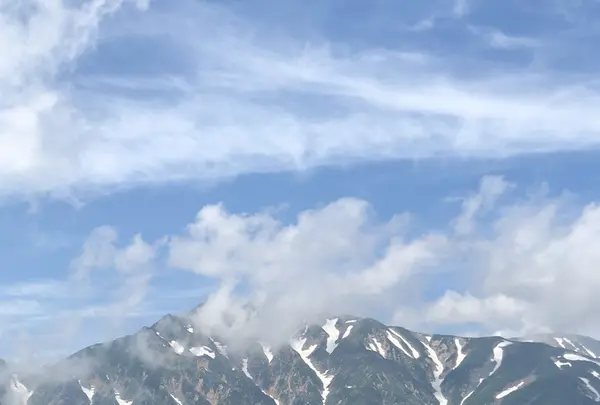 白馬五竜高山植物園の写真・動画_image_349017