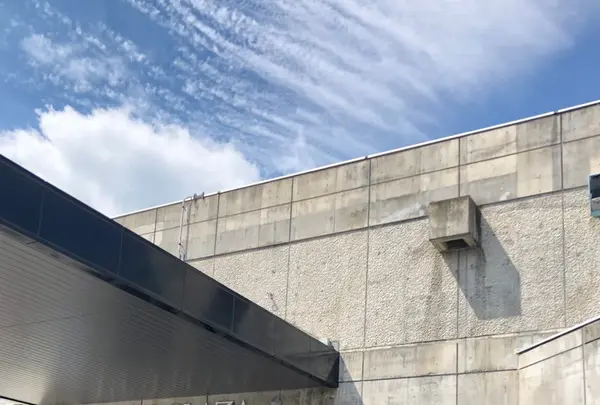 白馬五竜高山植物園の写真・動画_image_349018