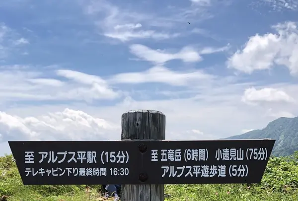 白馬五竜高山植物園の写真・動画_image_349019