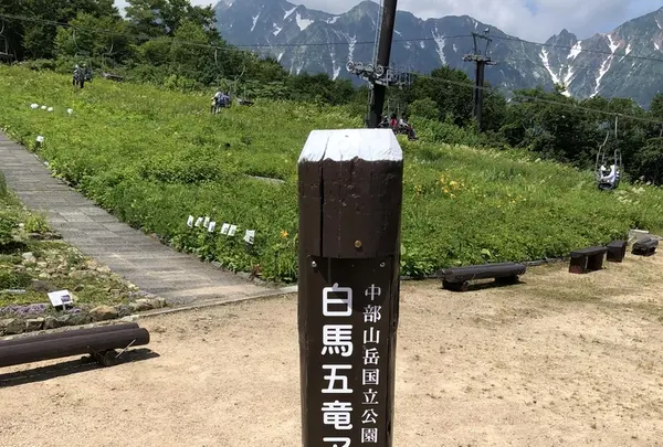白馬五竜高山植物園の写真・動画_image_349022