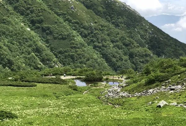 千畳敷カールの写真・動画_image_349393