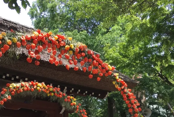 深大寺の写真・動画_image_403655